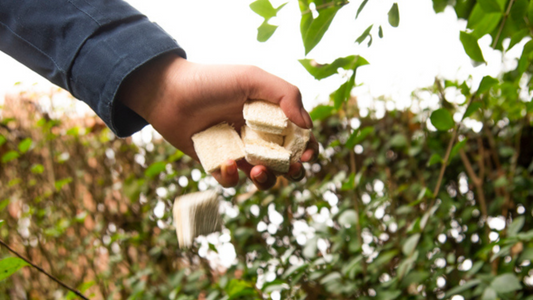 How To Compost Your Seep Products The Right Way