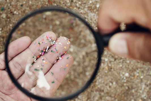 What Are Micro Plastics And Where Are They Found