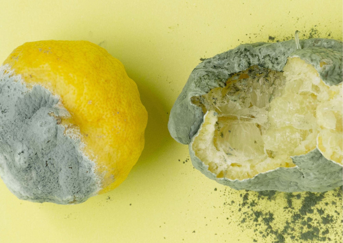Two rotting lemons - an experts guide to composting