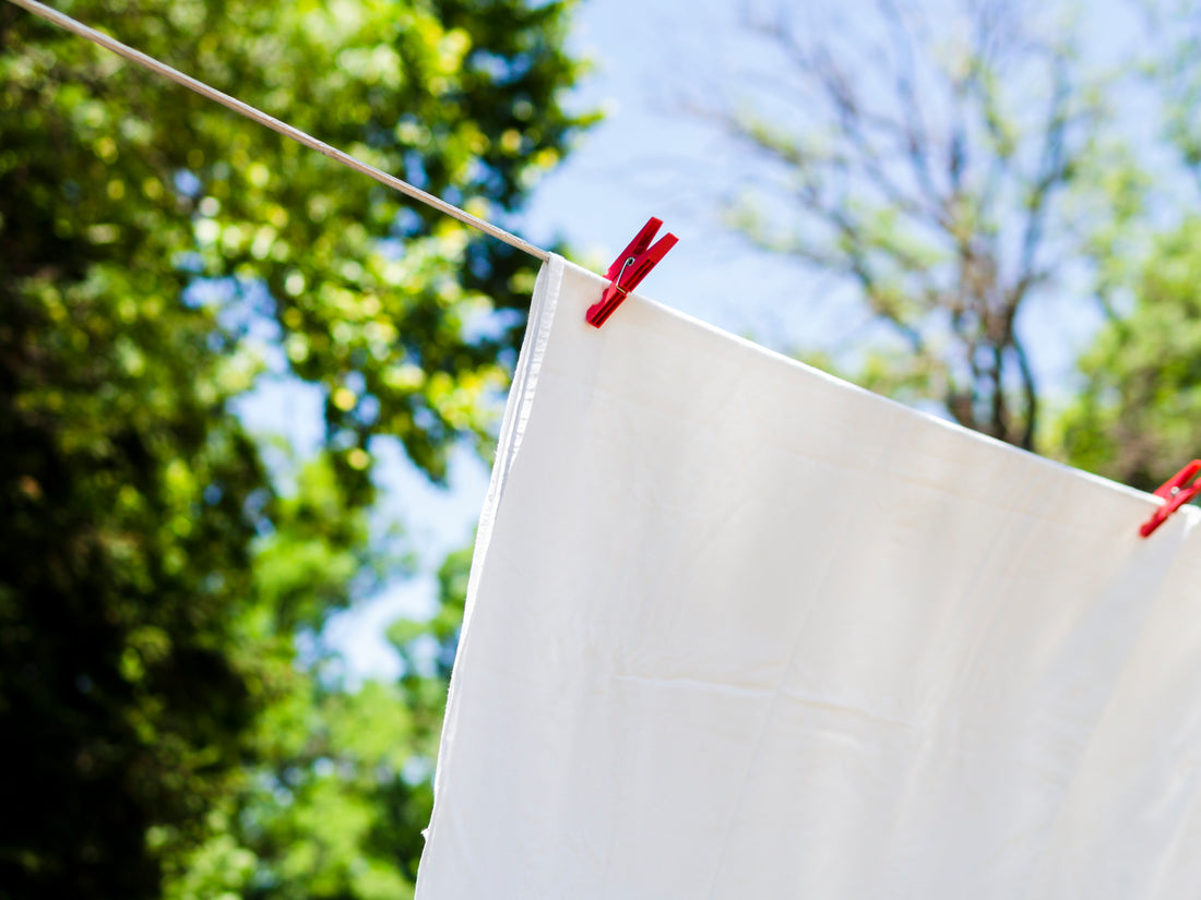 Does The Sun Kill Bacteria: Exploring The Sun’s Natural Disinfecting Power