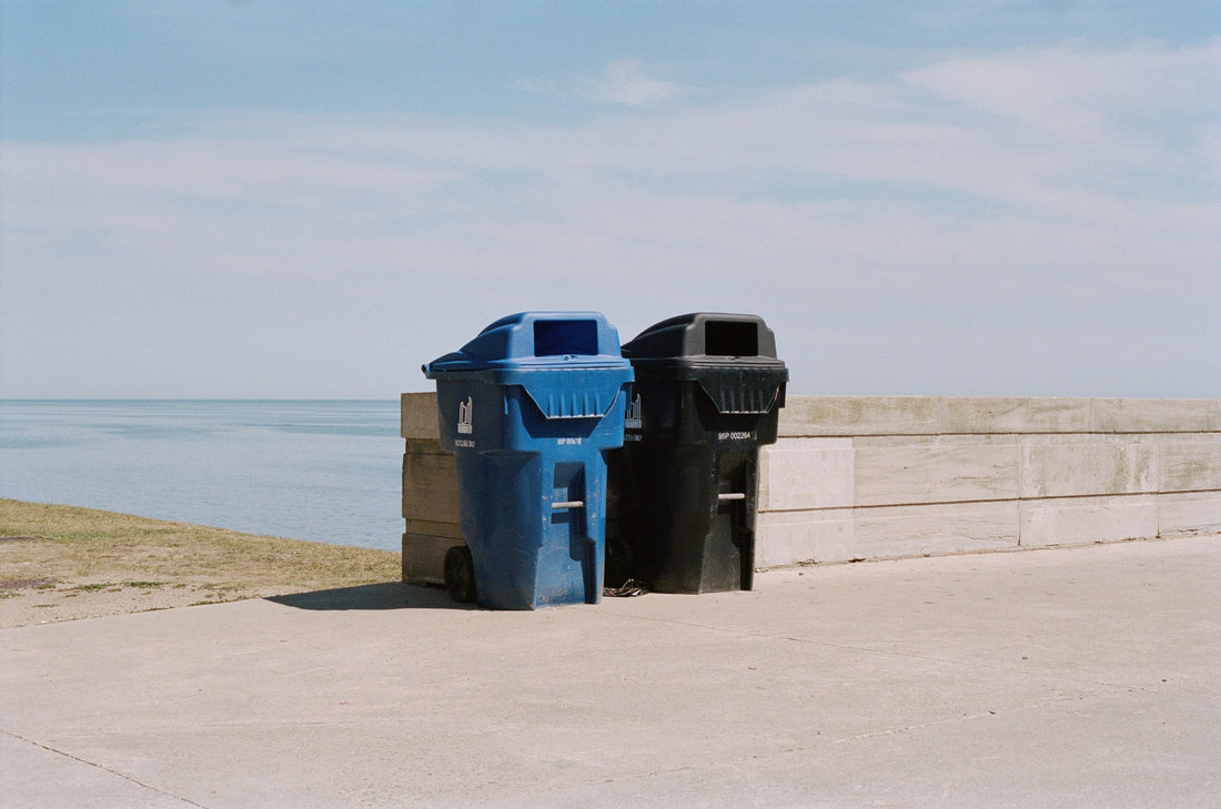Your Next Sustainable Swap: Compostable Bin Liners
