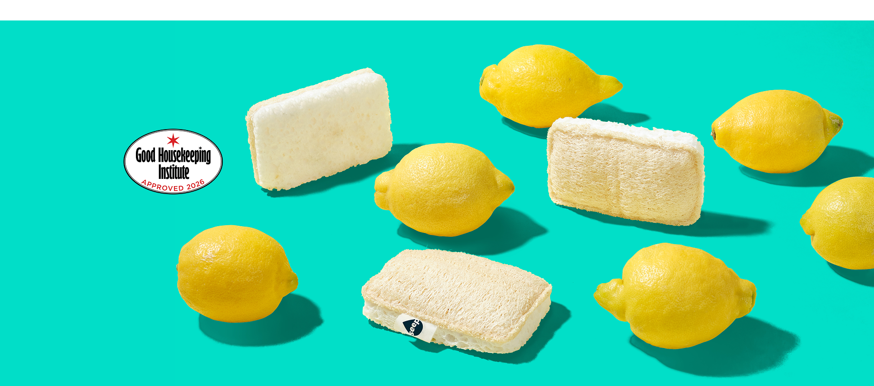Sponges And Scourers | Seep