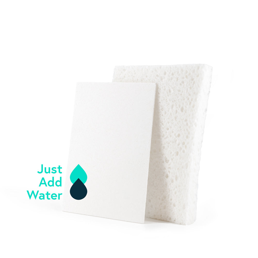 Dehydrated pop-up sponge vs hydrated pop-up sponge comparison