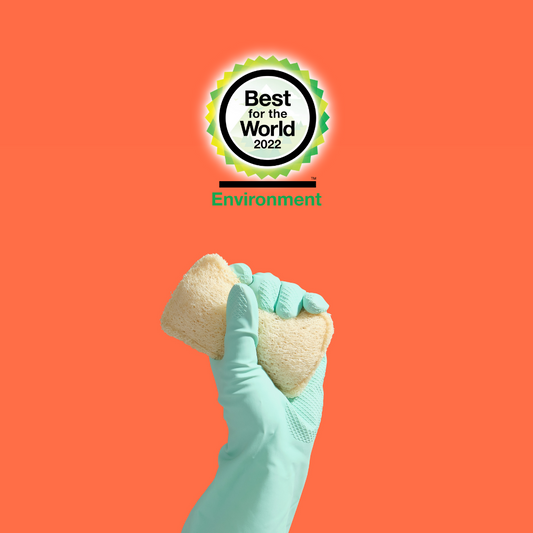 The B Corp Meaning