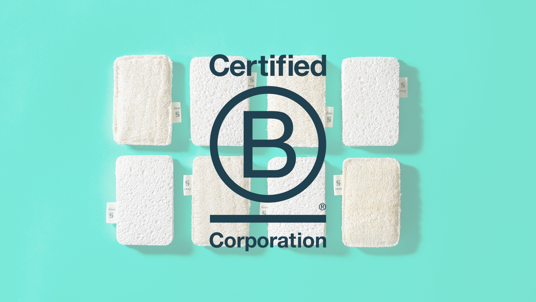 B Corp Businesses And Becoming One: A Founders' Perspective