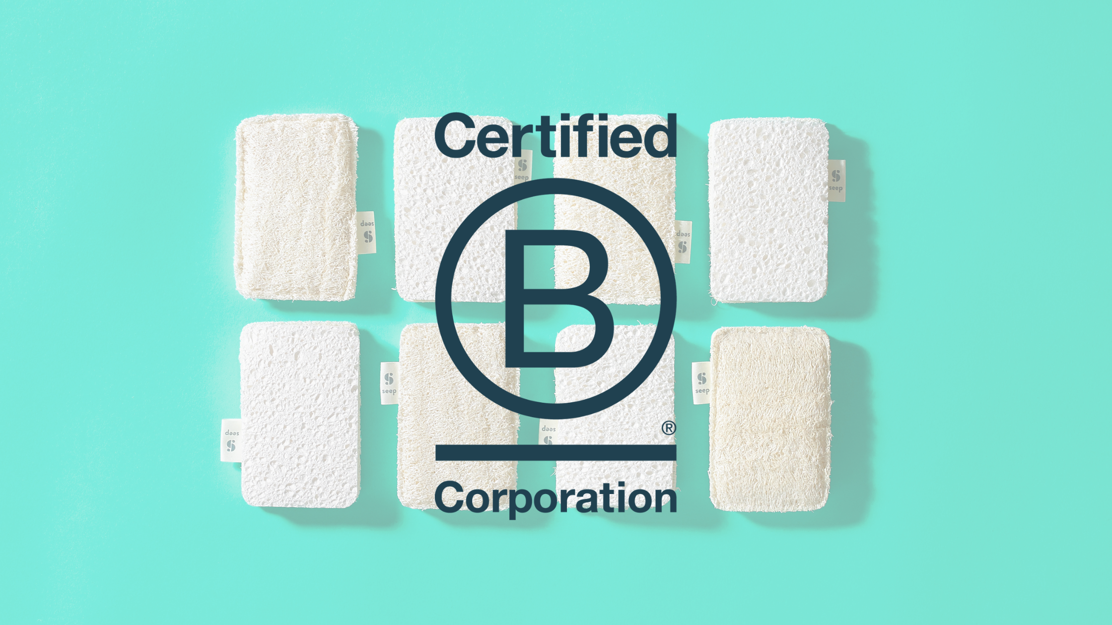B Corp Businesses And Becoming One: A Founders' Perspective
