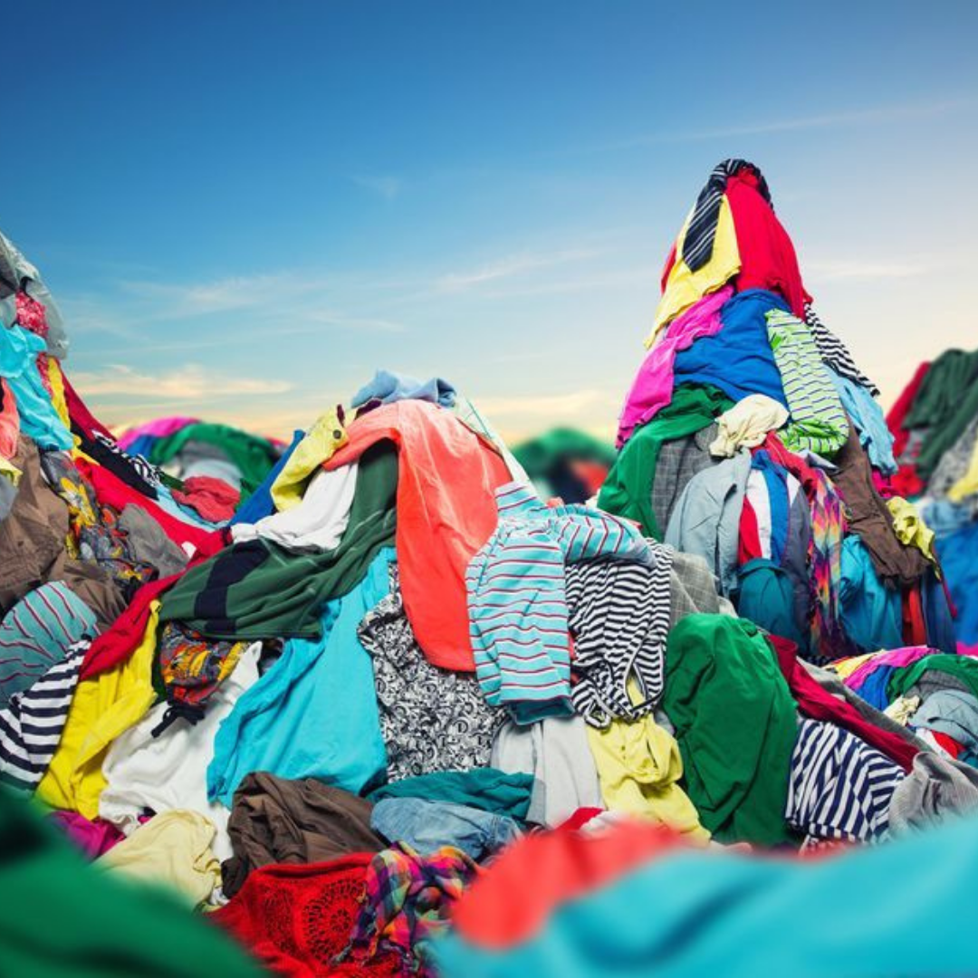 5 Sustainable Tips for Green Friday