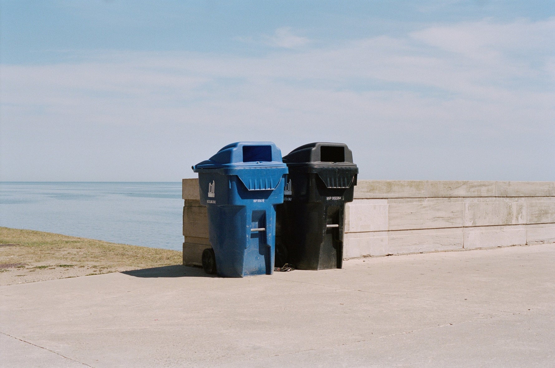 Your Next Sustainable Swap: Compostable Bin Liners