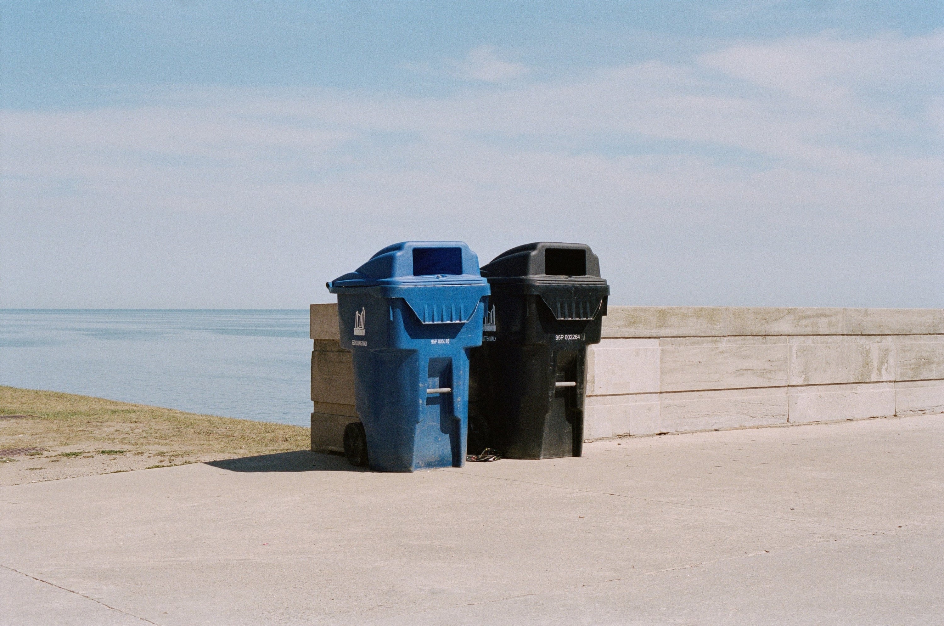Your Next Sustainable Swap: Compostable Bin Liners