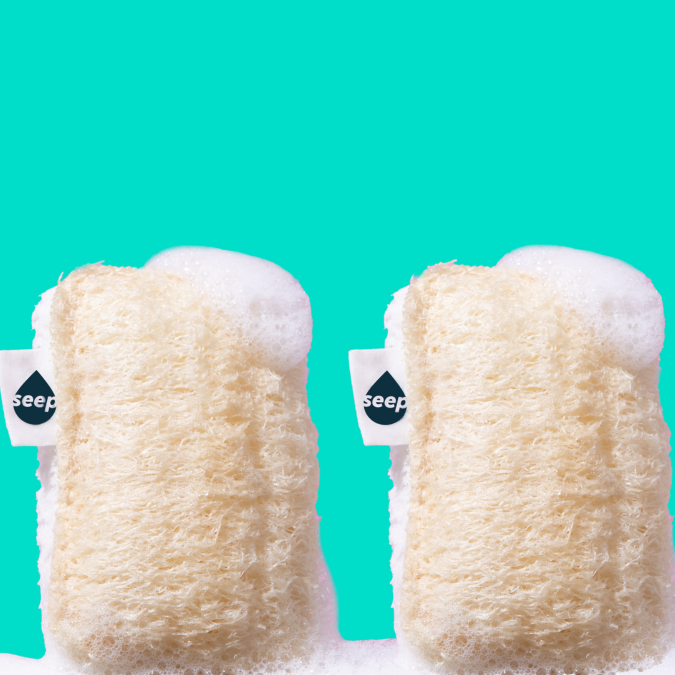 Sponges & Scourers