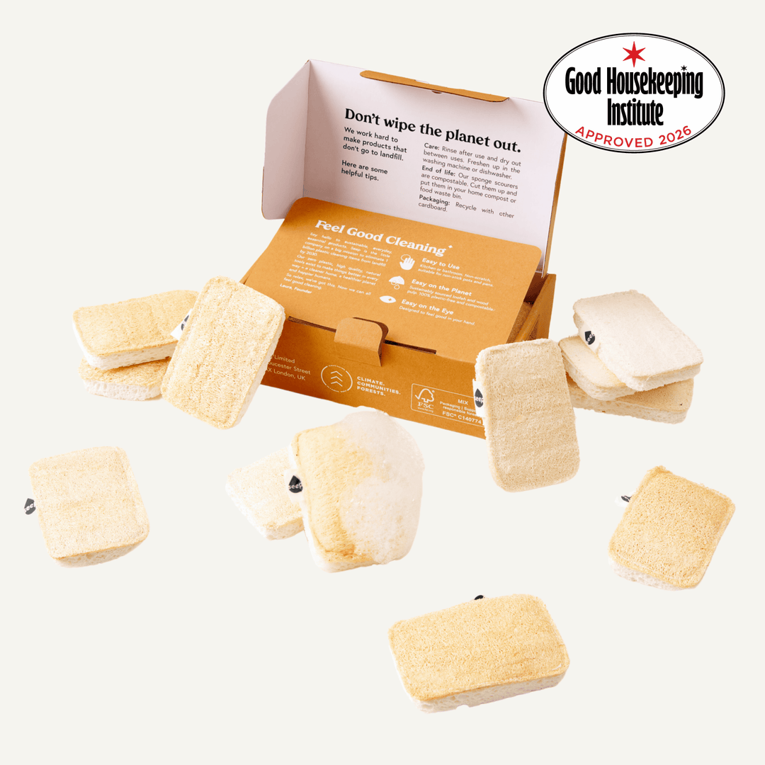 Eco Sponge Scourers (1 year supply - 12 sponges)