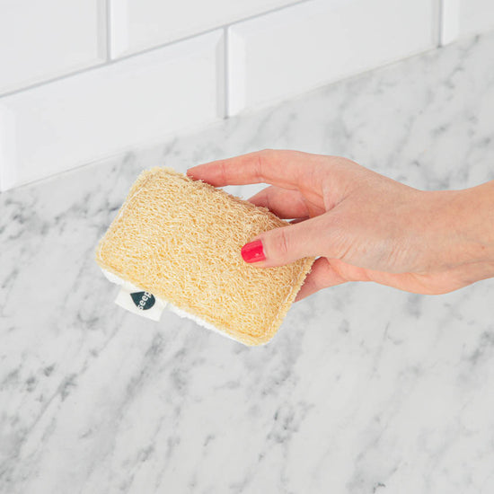 The William Morris Society x Seep Eco Cleaning Kit