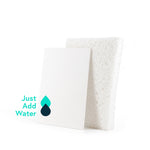 Dehydrated pop-up sponge vs hydrated pop-up sponge comparison