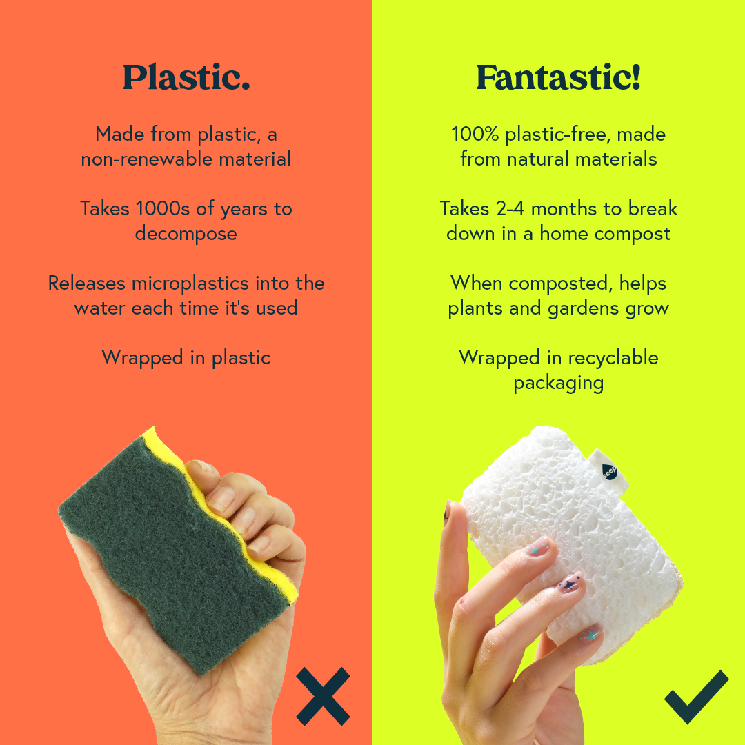 Infographic comparing the disadvantages of plastic sponges with the benefits of Seep's plastic-free sponges