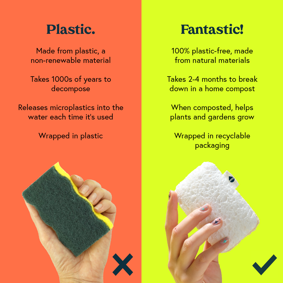 Infographic comparing the disadvantages of plastic sponges with the benefits of plastic-free Seep's eco sponges